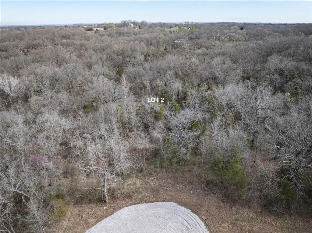 Photo of 1509 S Buckner Tarsney Road Buckner MO 64016