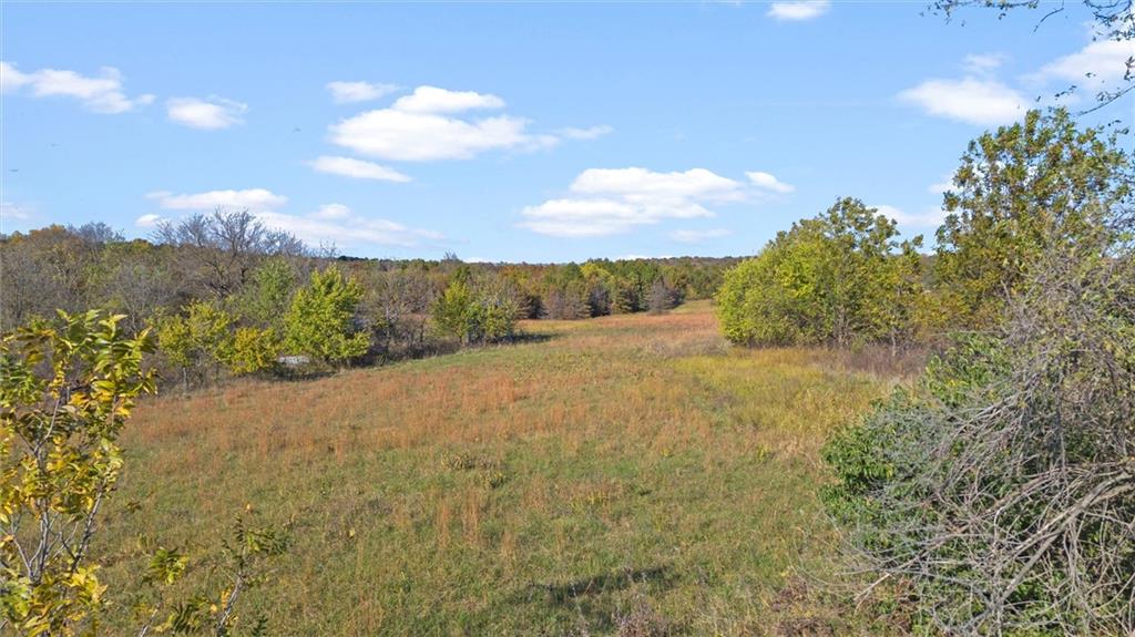 Photo of Tract A,  SW 75 Road Holden MO 64040