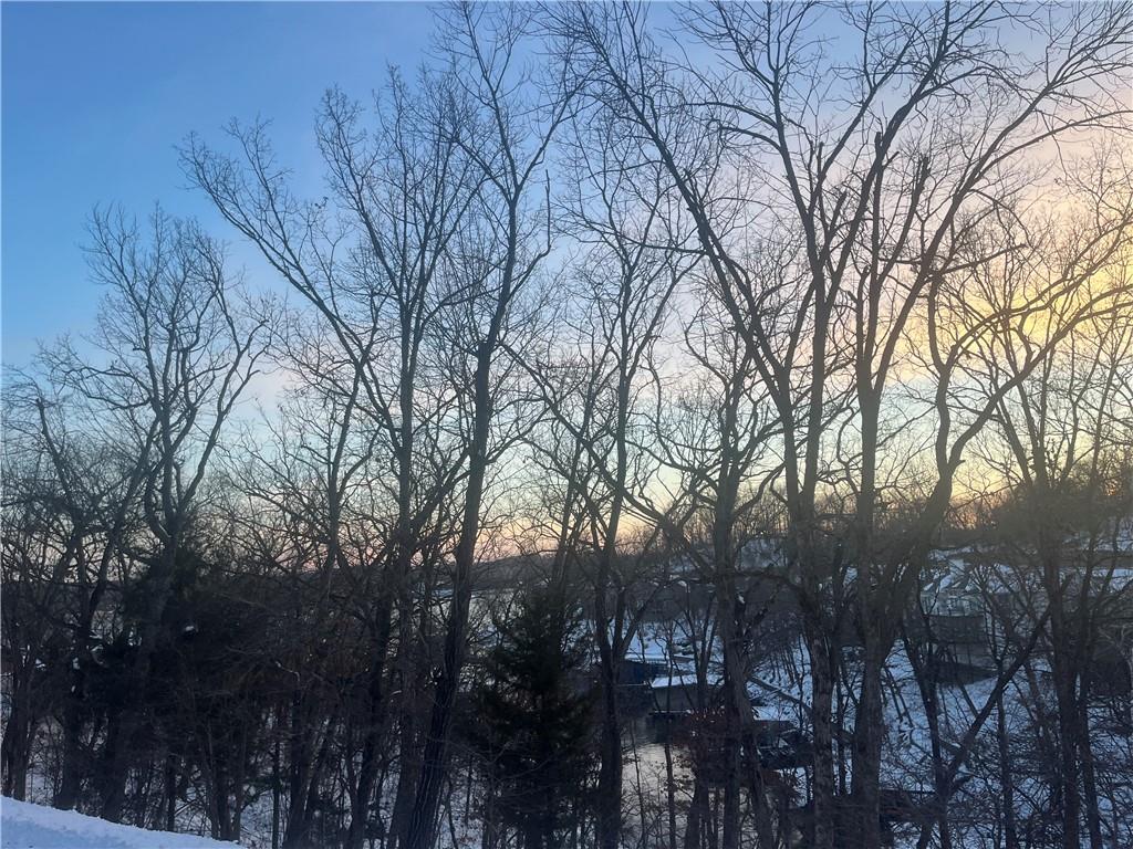 Photo of Palisades Drive Four Seasons MO 65049