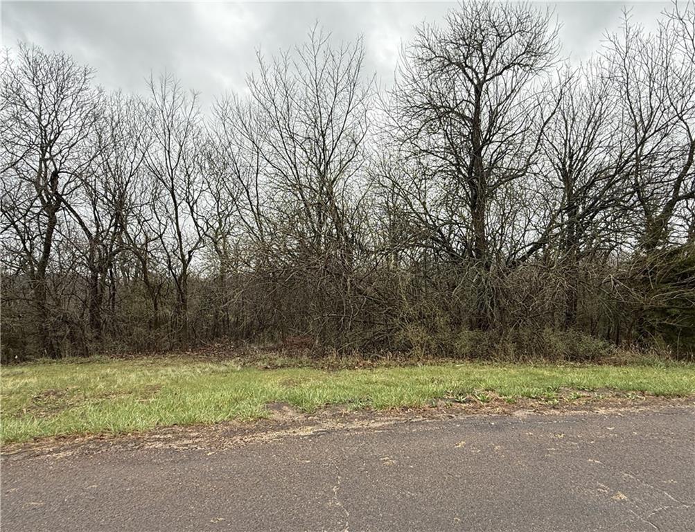Photo of 164 Deer Run Road Atchison KS 66002