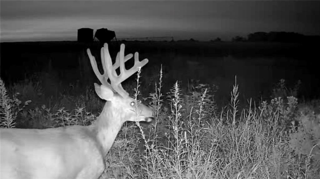 Photo of 27699 S Hoch Road Osage City KS 66523