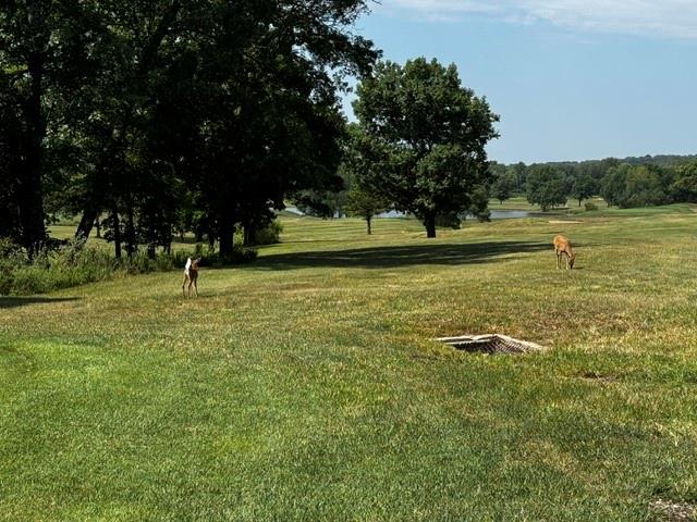 Photo of 197 & 205 Fascination Lane Linn Valley KS 66040