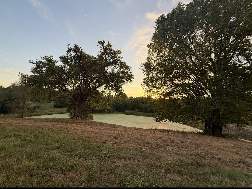 Photo of 1551 NE Woods Chapel Road Lee's Summit MO 64064