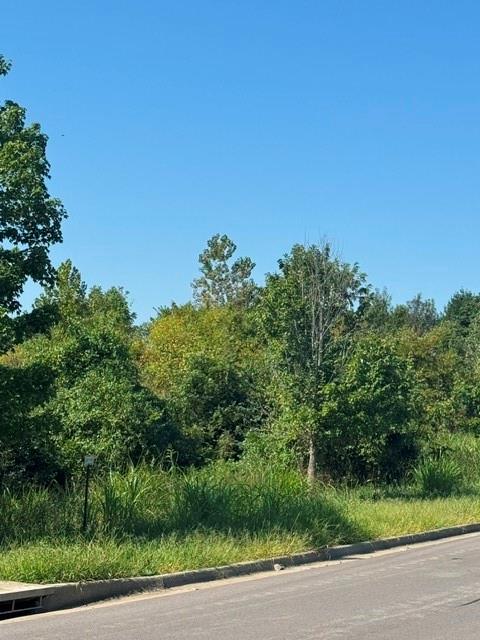 Photo of Brookside Drive Blue Springs MO 64015