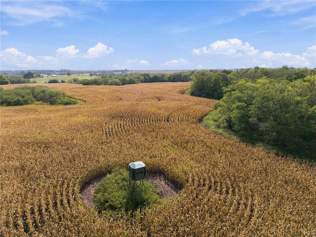 Photo of 21492 County Road 194 N/A Bogard MO 64622