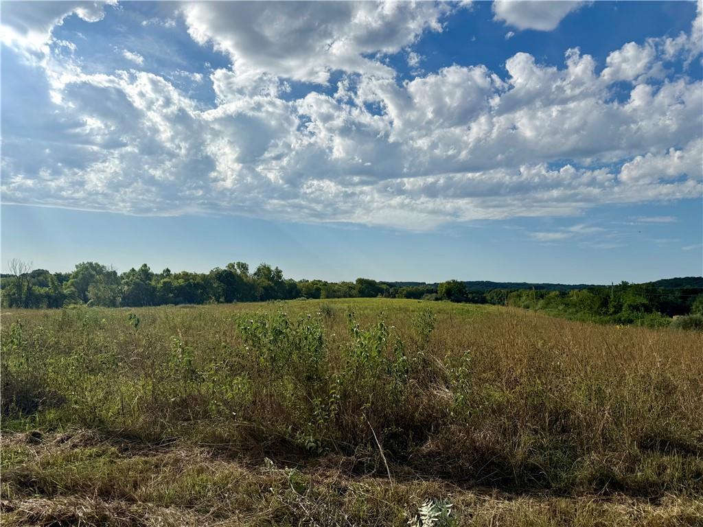 Photo of Lot 1 Hemphill Road Lawrence KS 66044