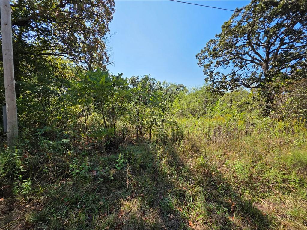 Photo of 000 E Abbott Road Schell City MO 64783