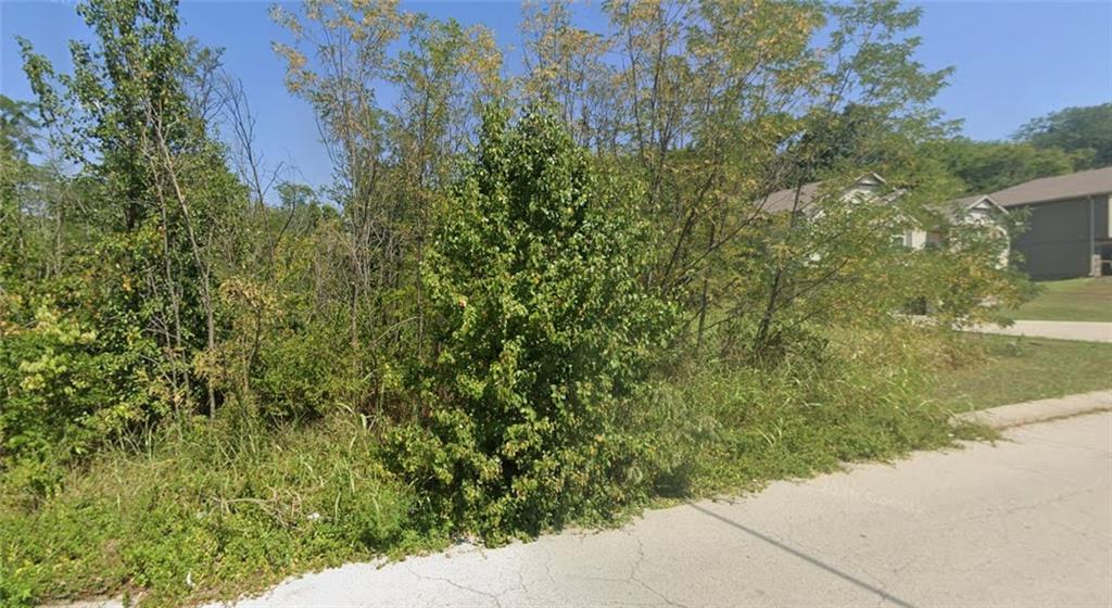 Photo of 18606 E 19th Terrace Independence MO 64057