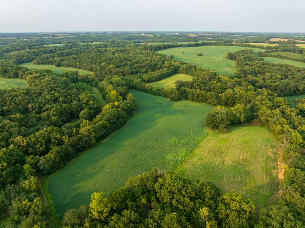 Photo of 000 Ewing Drive Pilot Grove MO 65276