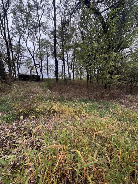 Photo of 49 Lou Ann Drive Lacygne KS 66040