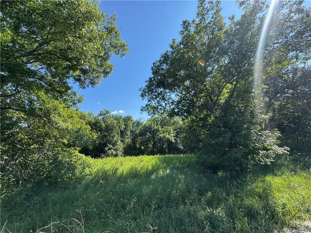 Photo of Lots 238-240 Fishing River Road Excelsior Springs MO 64024