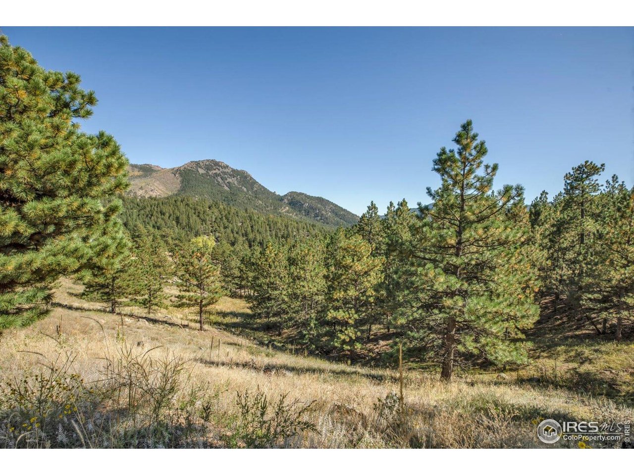 Photo of 198 Puma Dr Boulder CO 80302