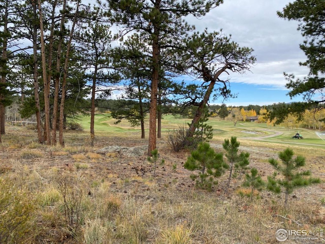 Photo of 0 Northwoods Dr Red Feather Lakes CO 80545
