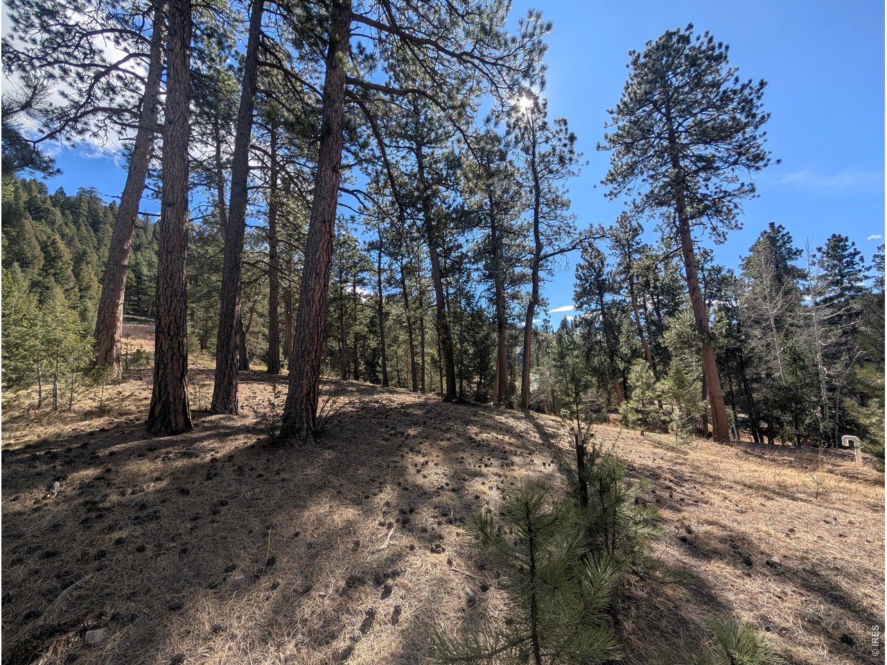 Photo of 7000 - 7022 Blue Creek Rd Evergreen CO 80439