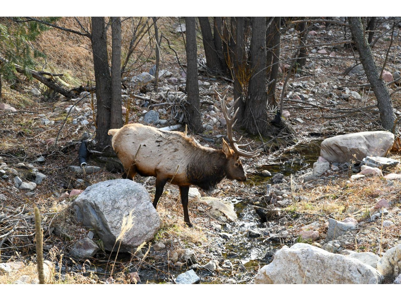 Photo of 416 Black Creek Dr Glen Haven CO 80532