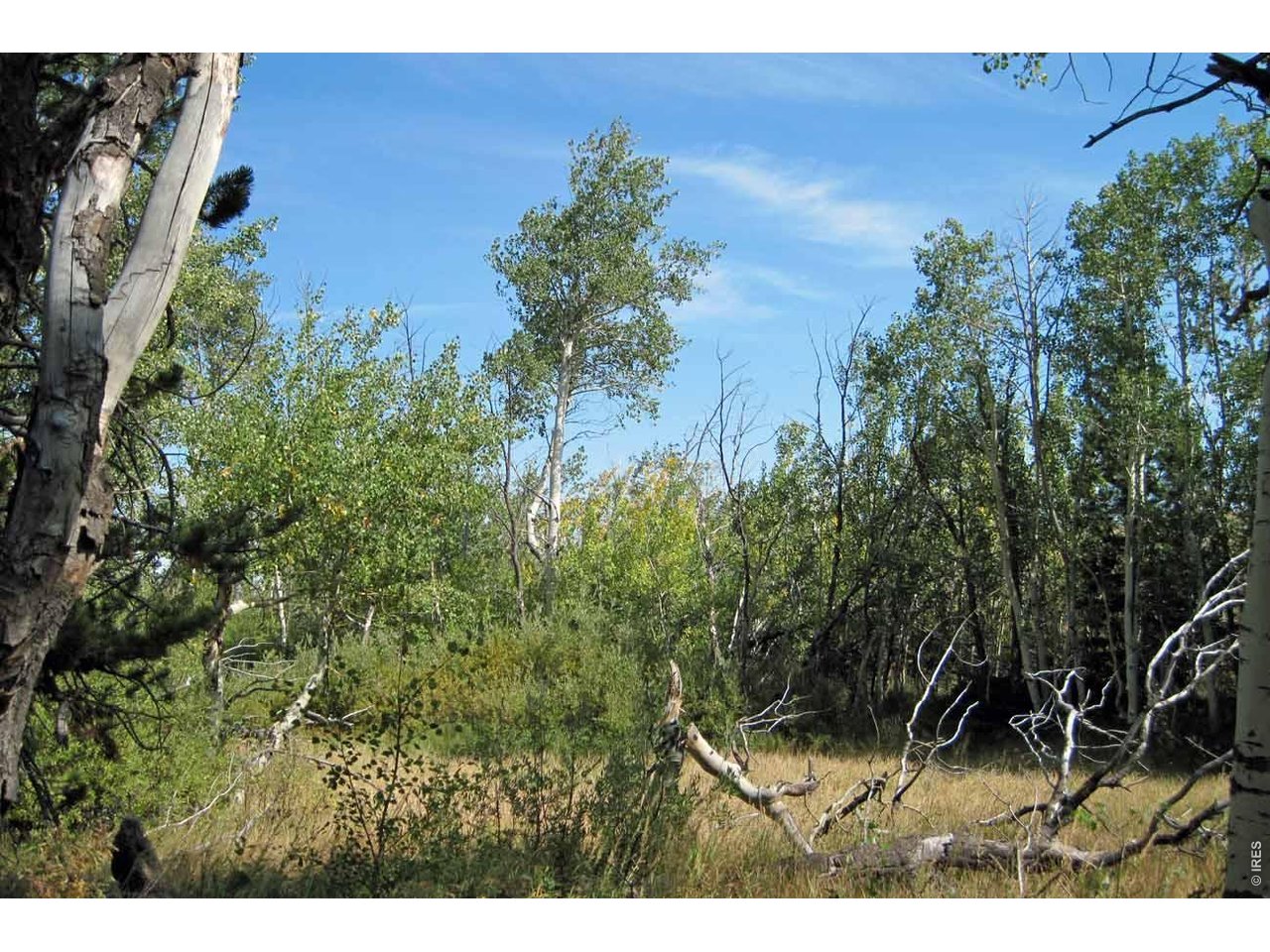 Photo of Wilderness Ranch Rd Sand Creek Township CO 82070