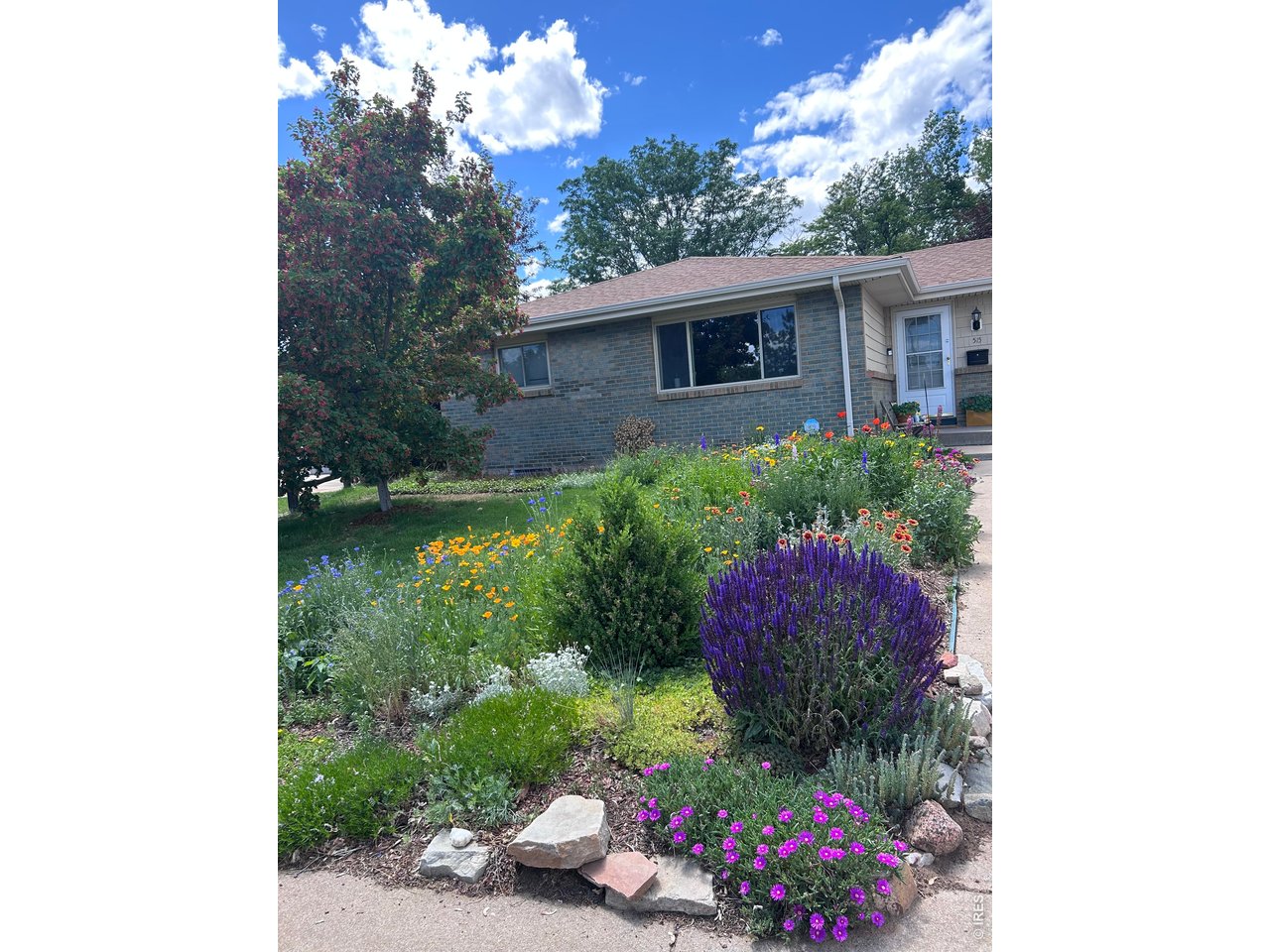 Photo of 515 31st Ave Greeley CO 80634