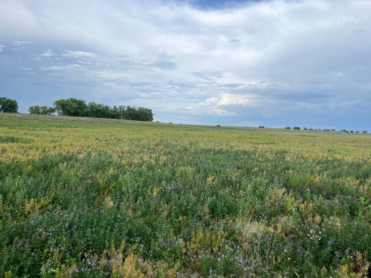 Photo of 0 County Road 33 Platteville CO 80651