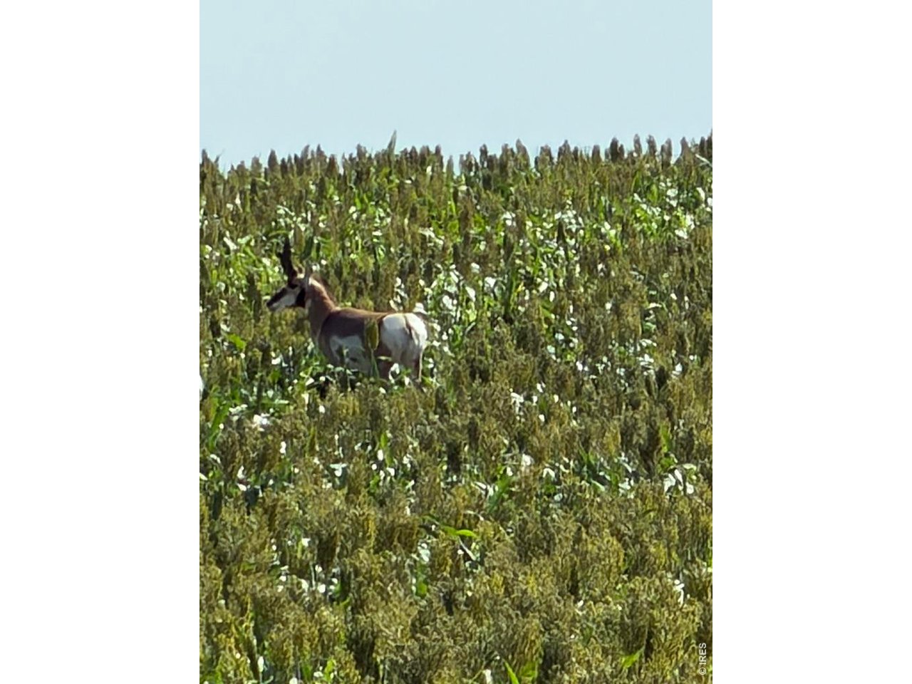 Photo of 26 gg Rd Snyder CO 80750