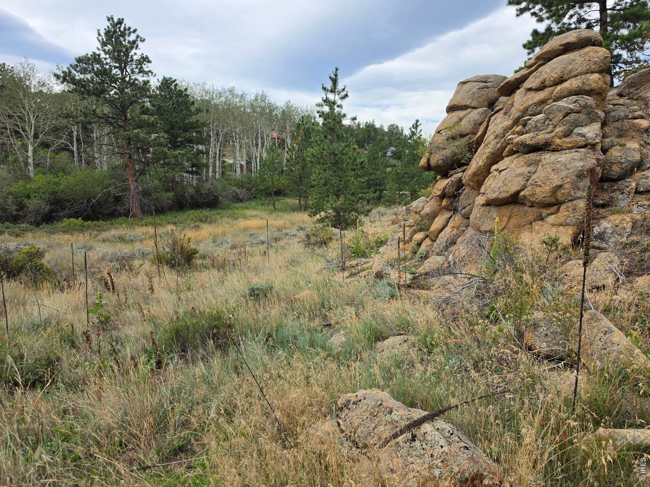 Photo of 0 Lone Pine Ct Red Feather Lakes CO 80545