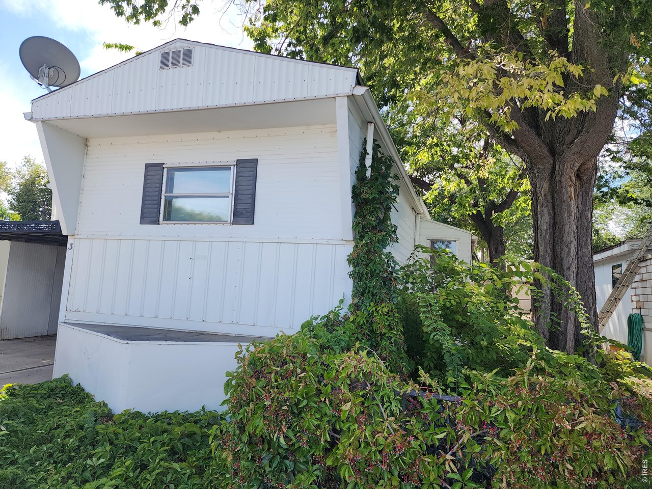 Photo of 729 17th Ave #3 Longmont CO 80501