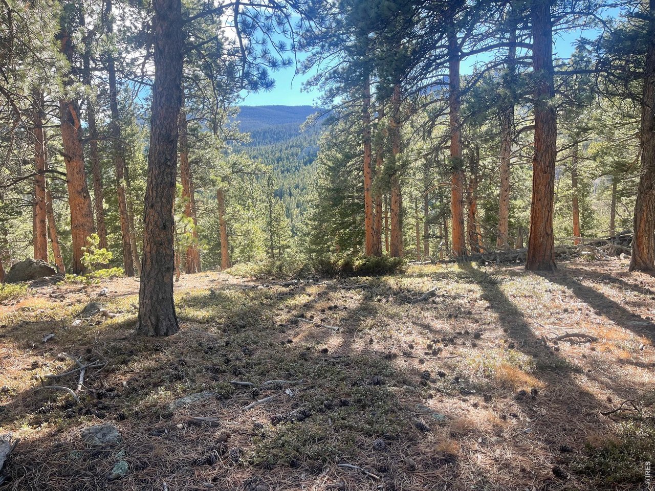 Photo of 399 N Skinner Rd Allenspark CO 80510