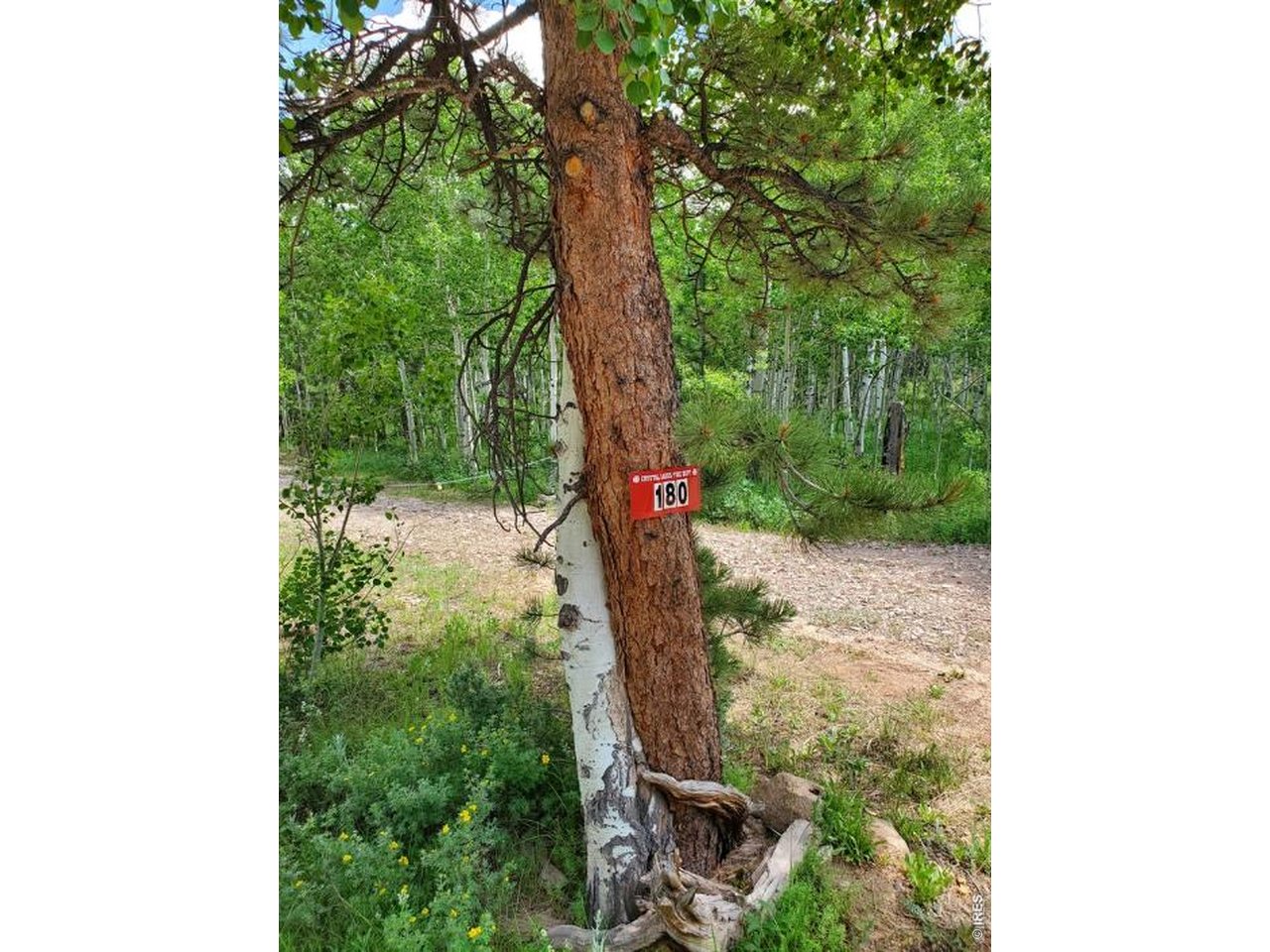 Photo of 180 Yuki Dr Red Feather Lakes CO 80545