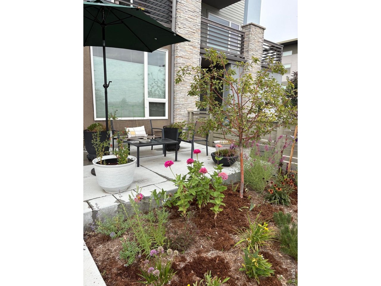 Photo of 1483 Hecla Way Louisville CO 80027