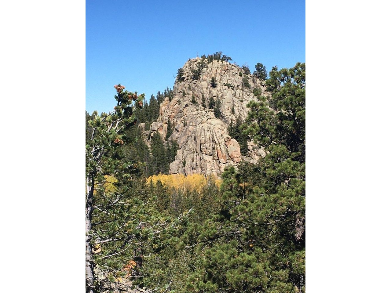 Photo of Wandering Ln Red Feather Lakes CO 80545