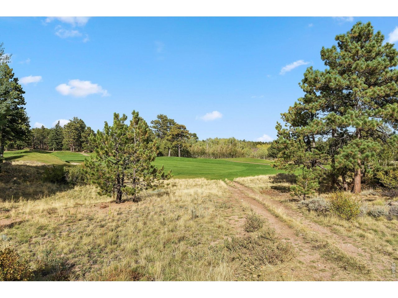 Photo of TBD Juniper Ct Red Feather Lakes CO 80545