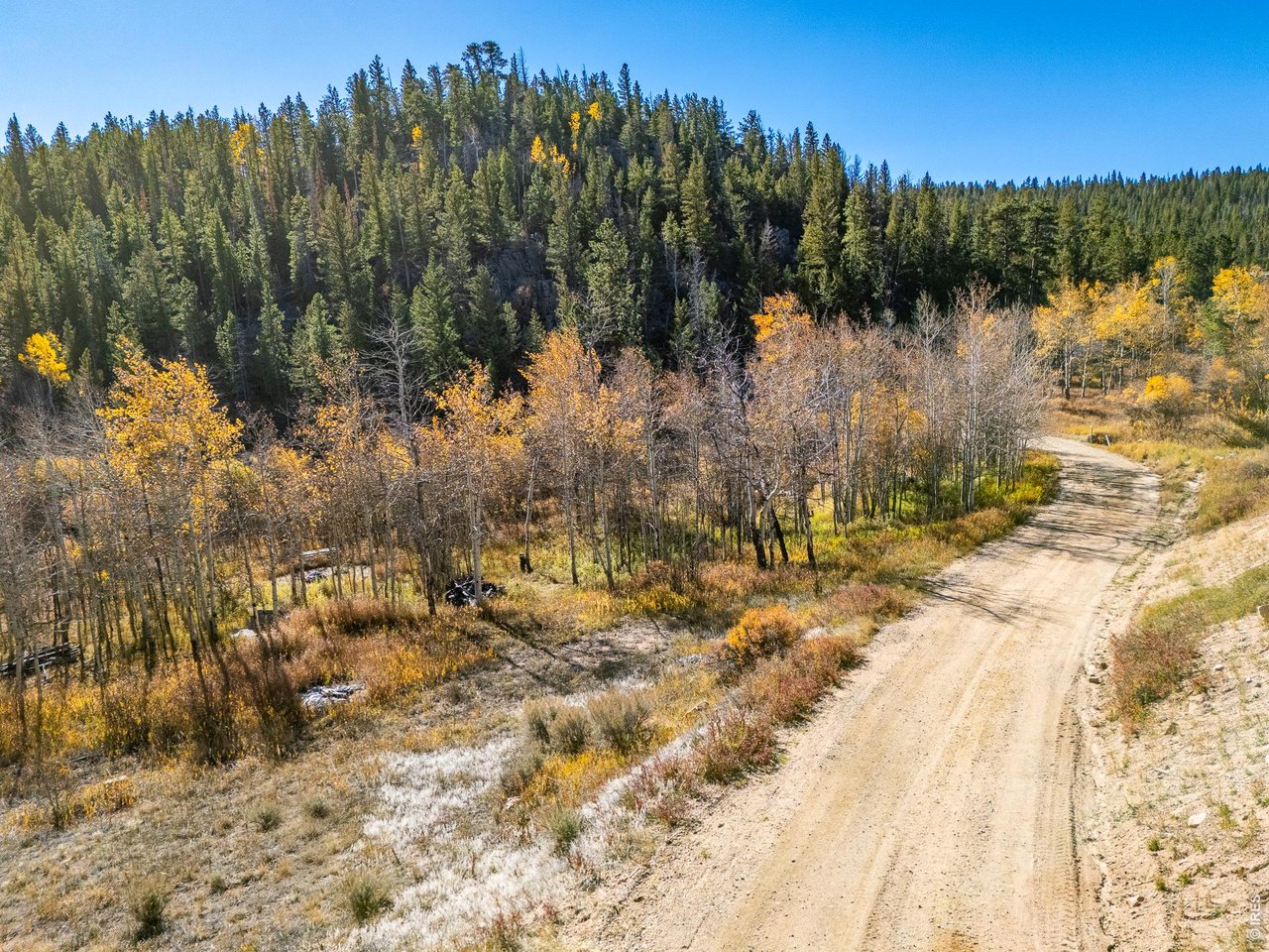 Photo of 53 Ada Ct Red Feather Lakes CO 80545