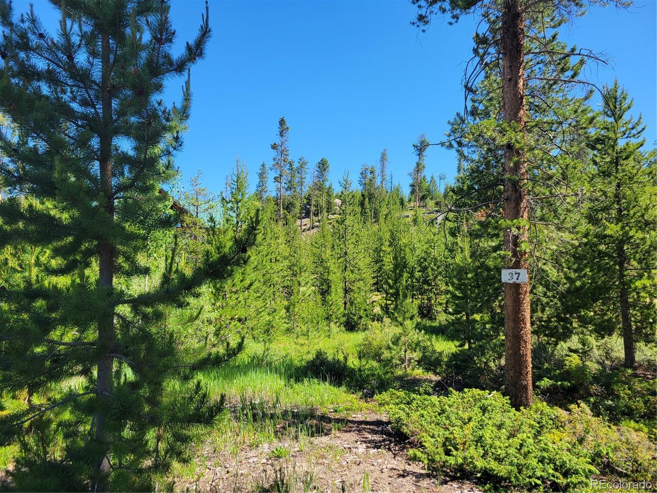 Photo of 51 GCR 6621 Grand Lake CO 80447