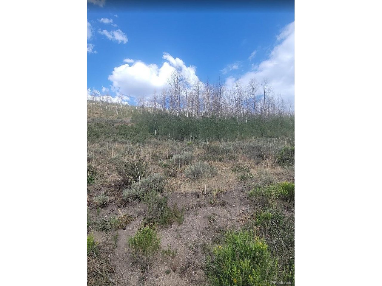 Photo of 5404 County Road 41 Granby CO 80446