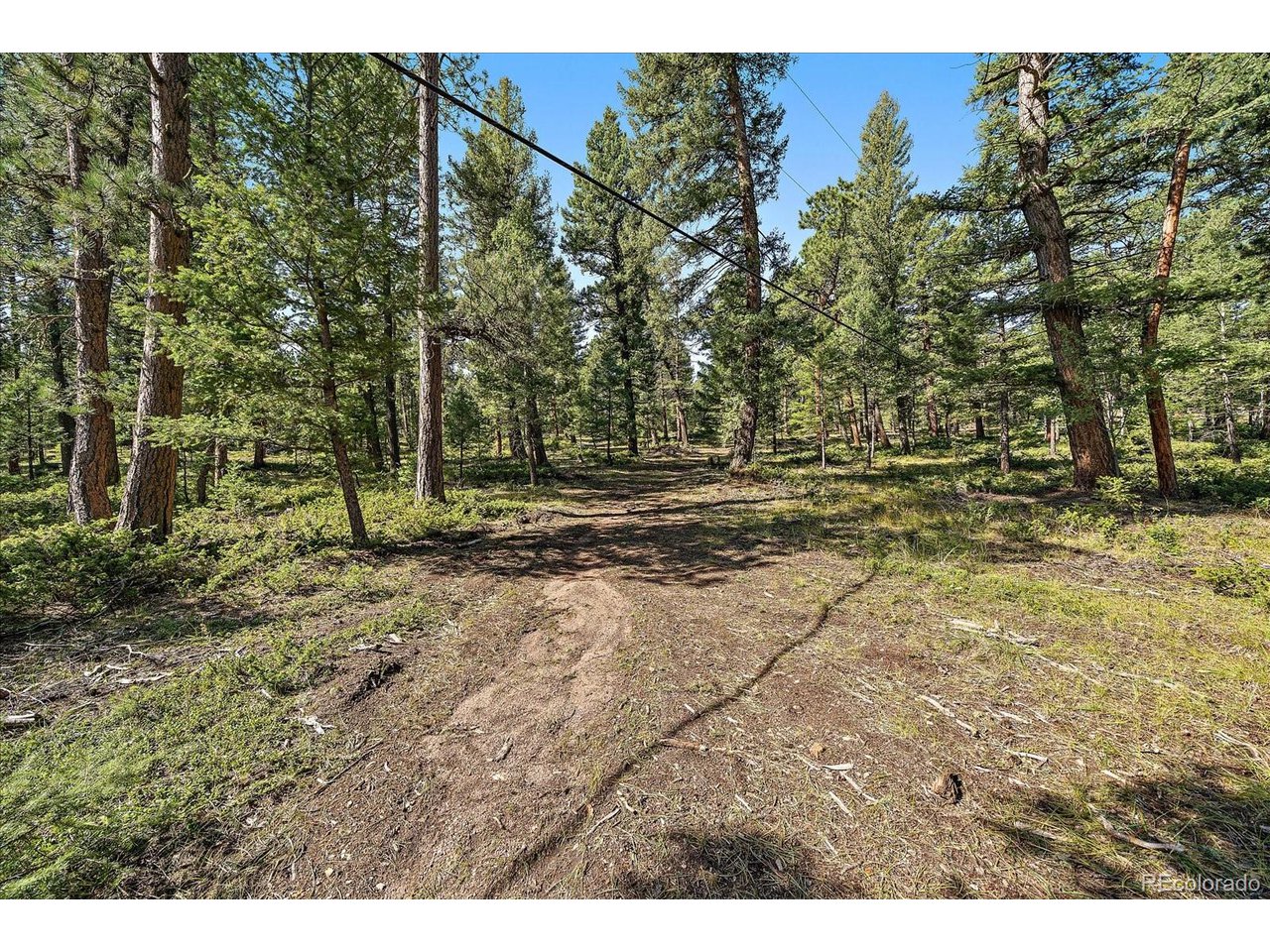 Photo of 0 Evergreen Dr Conifer CO 80433