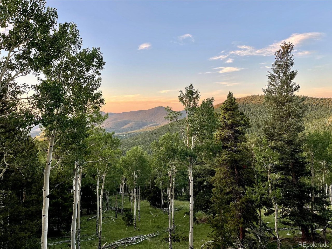 Photo of 3665 Beaver Brook Canyon Rd Evergreen CO 80439
