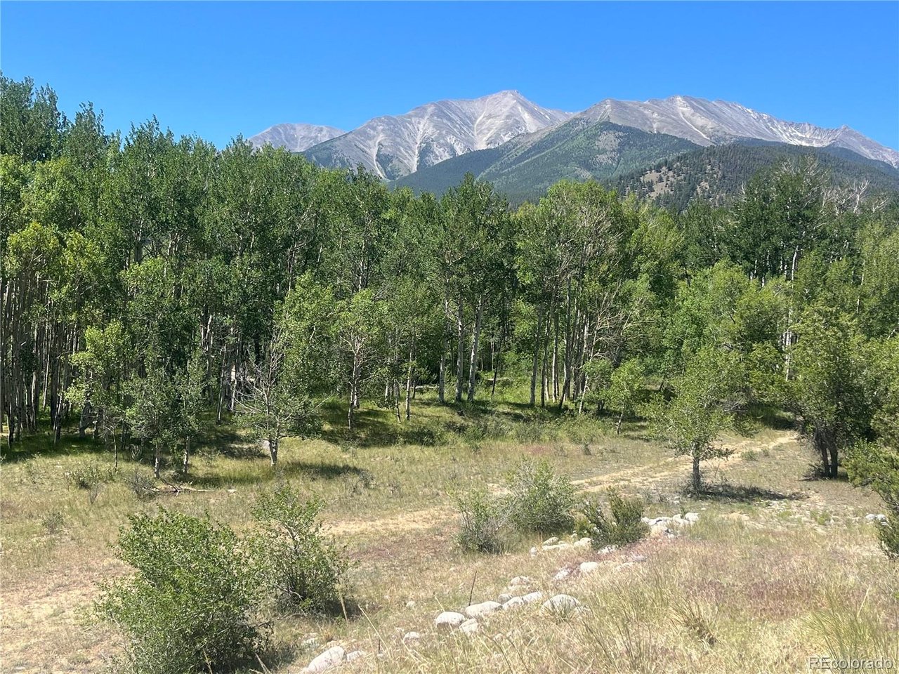 Photo of 17573 Trout Cir Buena Vista CO 81211