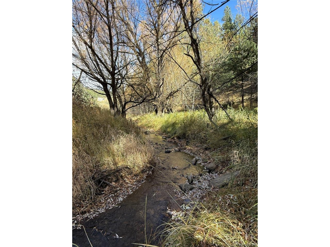 Photo of 7438 S Turkey Creek Rd Morrison CO 80465