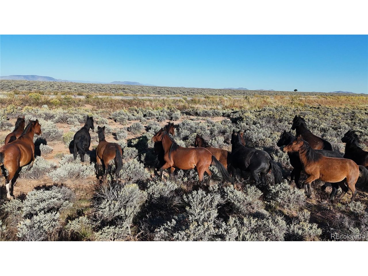 Photo of 123 Valley Dr San Luis CO 81152