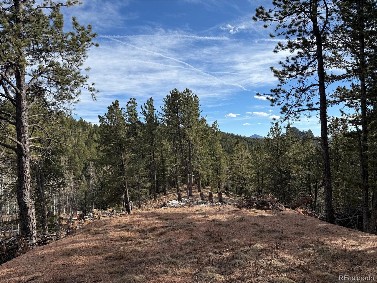 Photo of 162 Eagle Dr Divide CO 80813