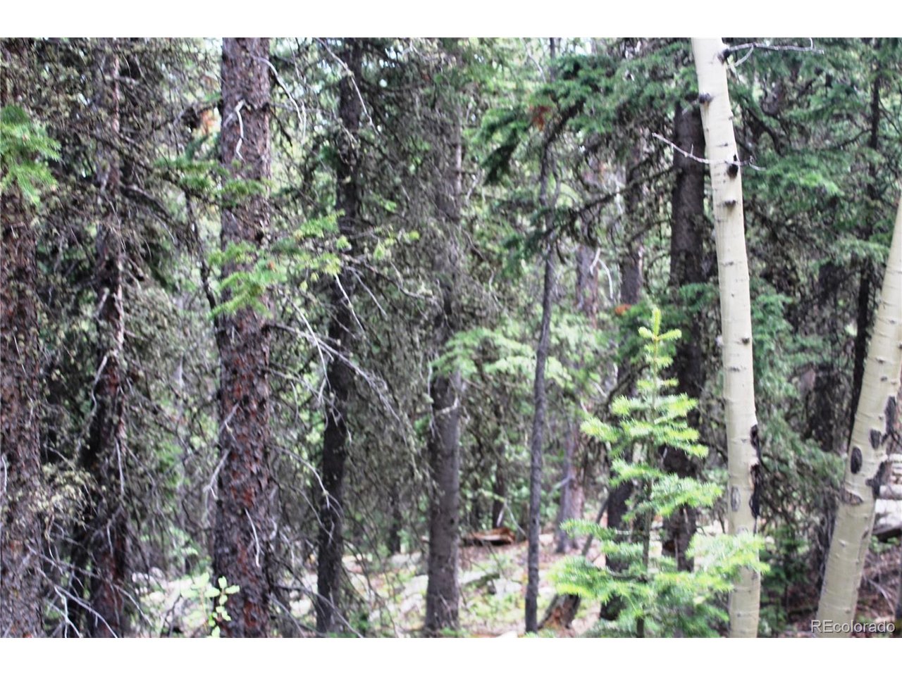 Photo of 0 Hidden Wilderness Rd Idaho Springs CO 80452