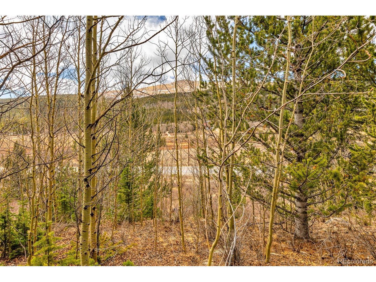 Photo of 55780 Highway 9 Alma CO 80440