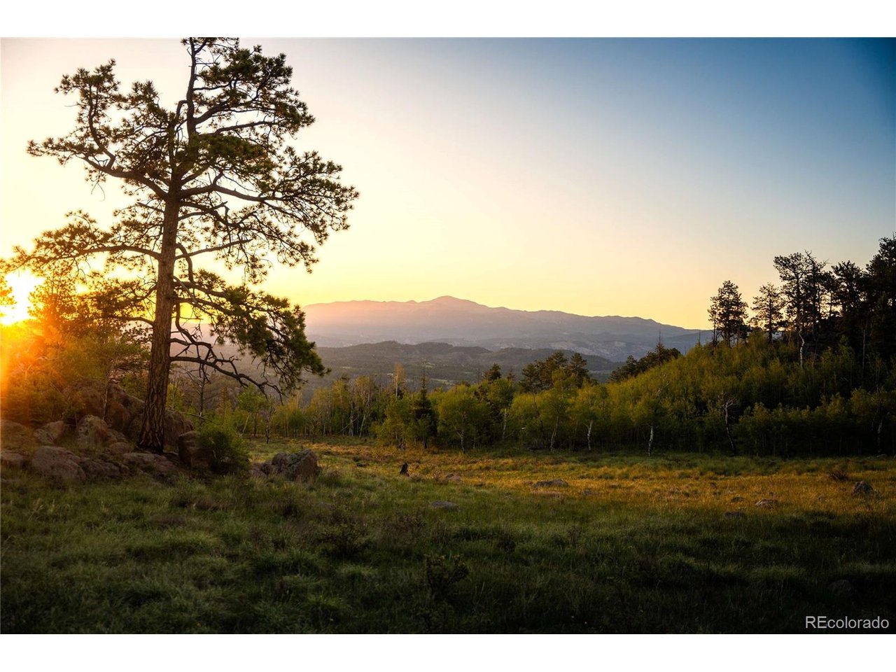 Photo of 404 Valley Dr Florissant CO 80816