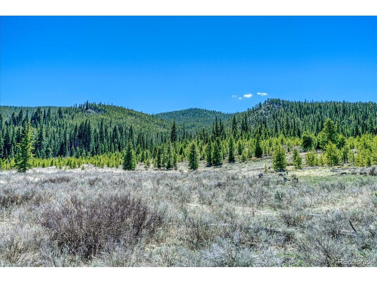 Photo of 370 Meadow Wood Cir Dillon CO 80435
