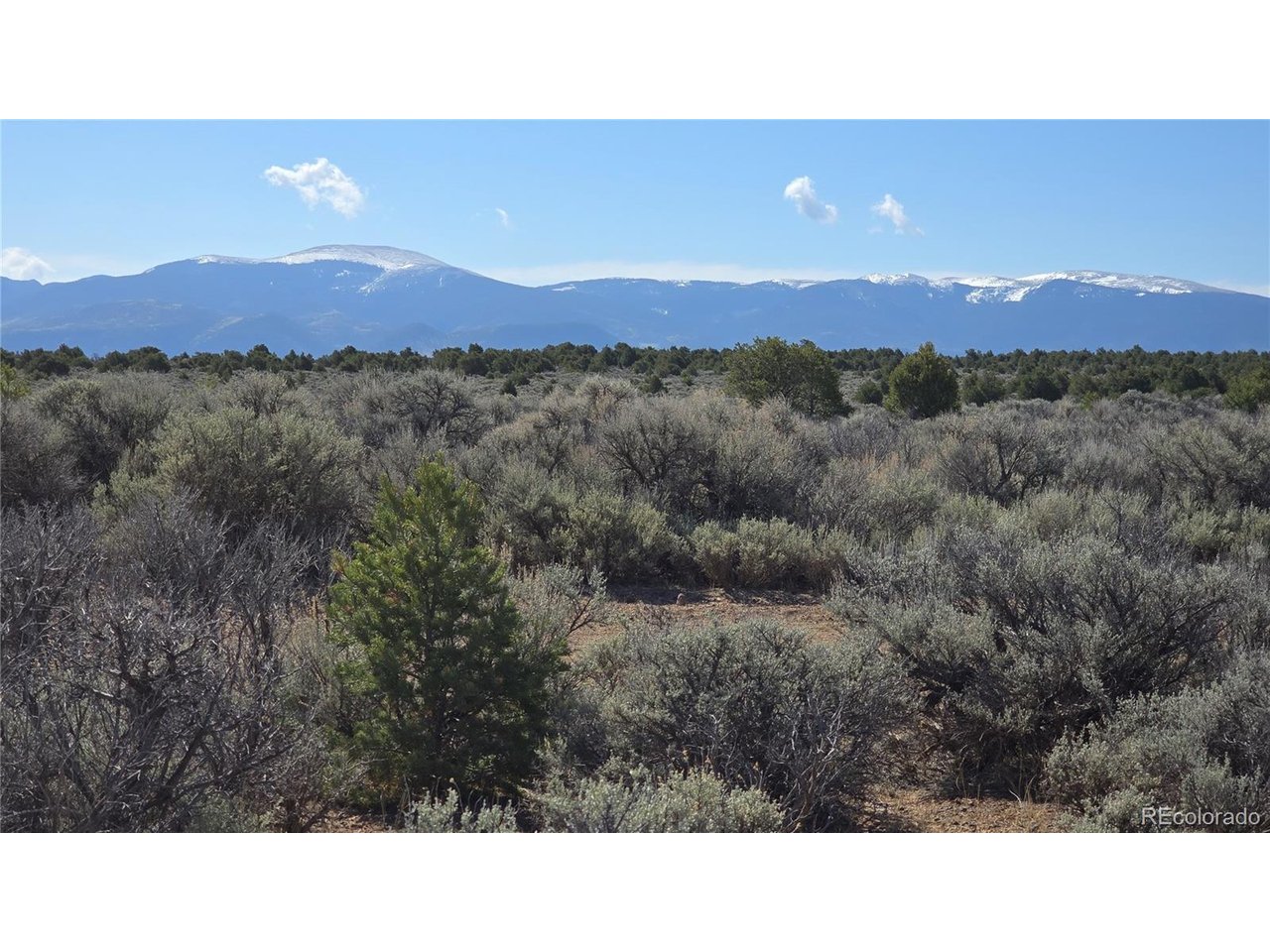 Photo of 18 Green Tree Ct San Luis CO 81152