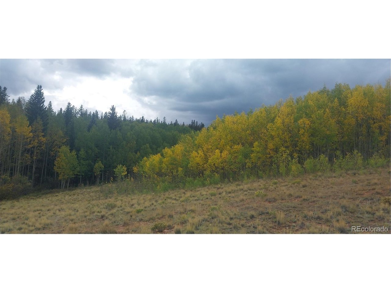 Photo of 562 Palmer Peak Dr Fairplay CO 80440
