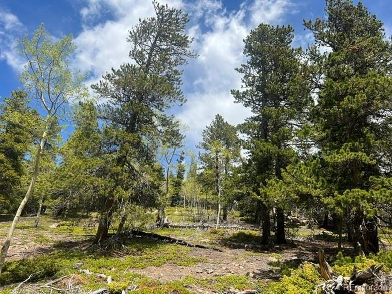Photo of 1 Sunny Skies Trl Idaho Springs CO 80452