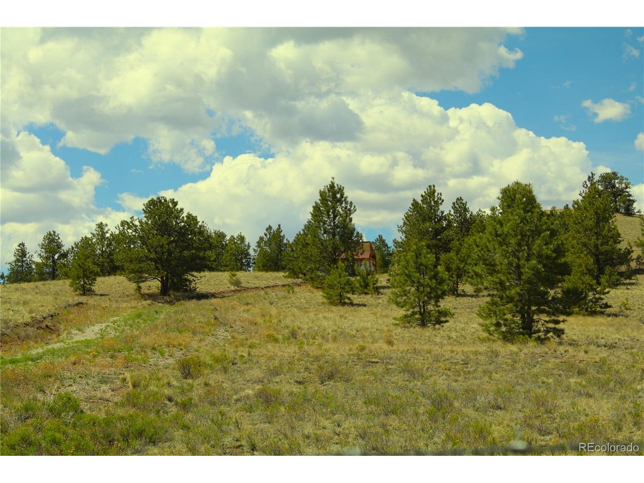 Photo of No Address Listed Hartsel CO 80449