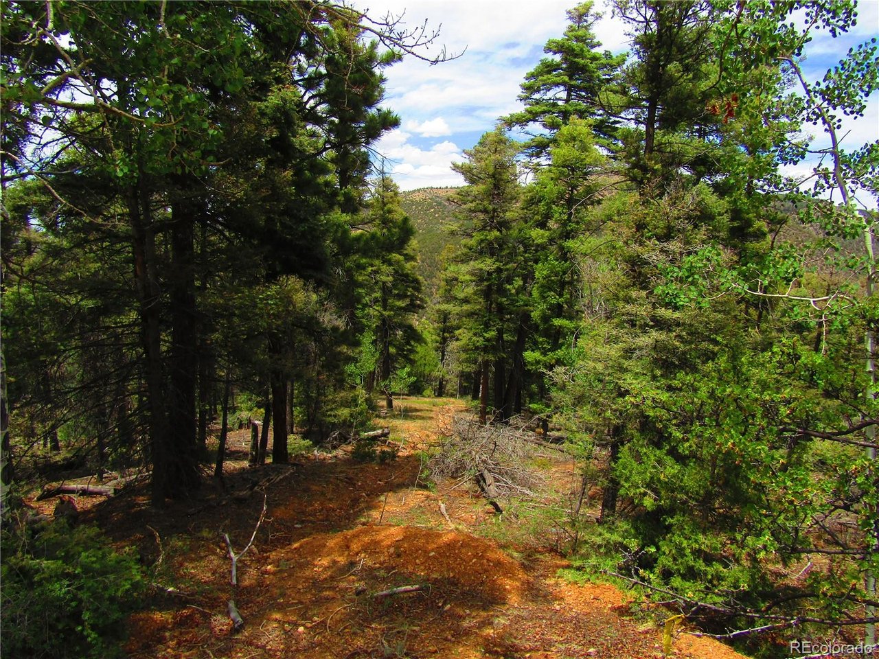 Photo of 6028 Bruce Rds San Luis CO 81152