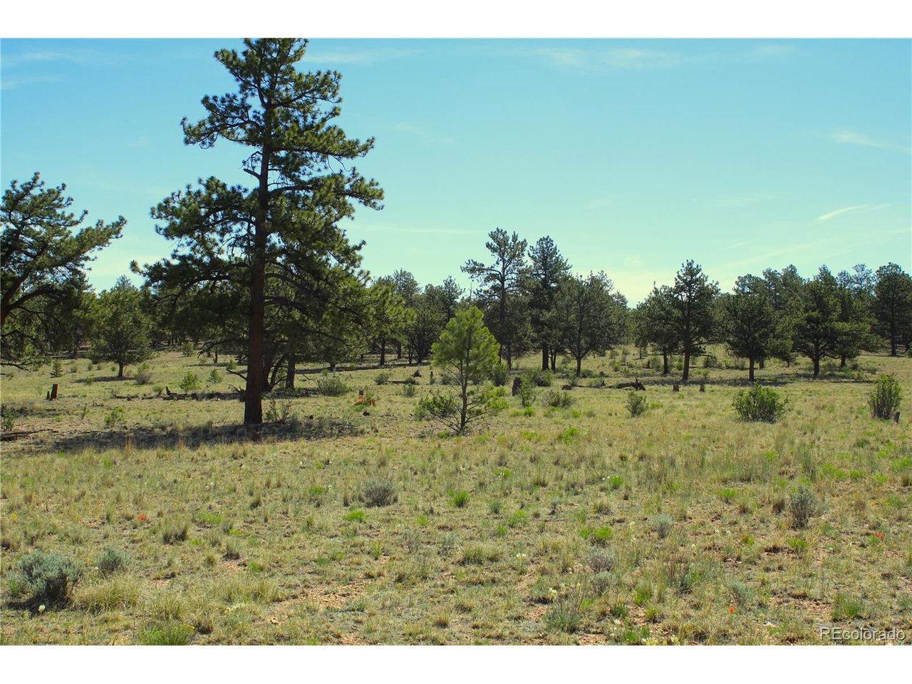 Photo of No Address Listed Fairplay CO 80440