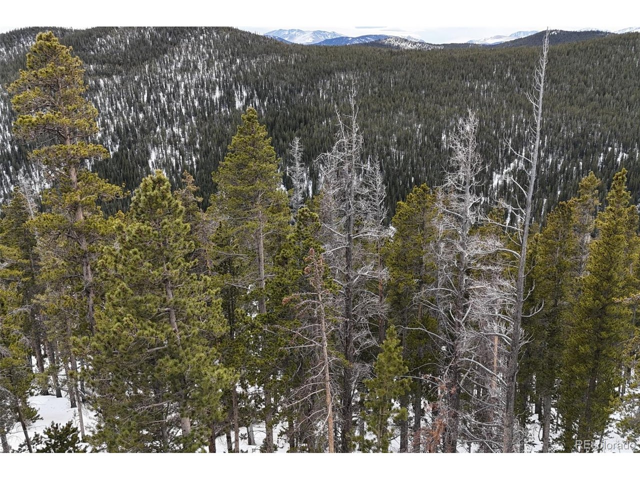 Photo of 156 Vista Rd Idaho Springs CO 80452
